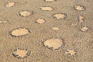 Fairy Circles in the Namib desert. photo