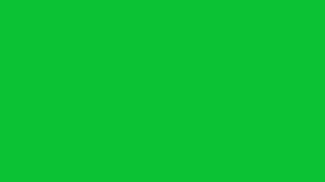 Linee diagonale transizione verde schermo animazione video