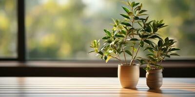 Beautiful plant in a vase Generative AI photo