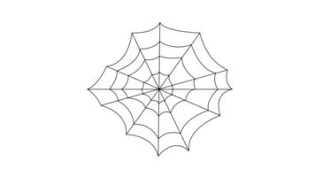 Sketch animation forming a spider web icon video