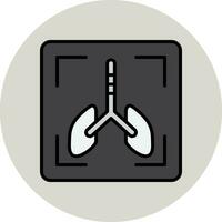 X Ray Vector Icon