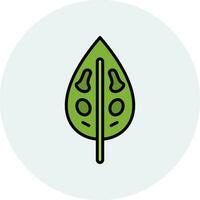 Dieffenbachia Vector Icon