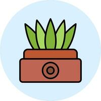 sansevieria vector icono