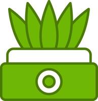 Sansevieria Vector Icon