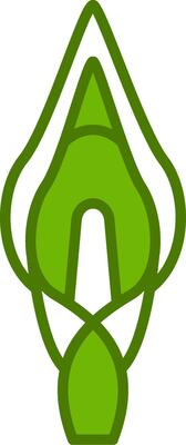 Calla Lily Vector Icon