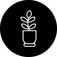 Ficus Elastica Vector Icon