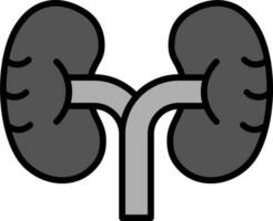 Kidney Vector Icon