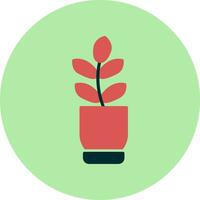 Ficus Elastica Vector Icon