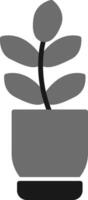 Ficus Elastica Vector Icon