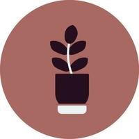 Ficus Elastica Vector Icon