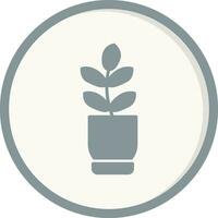 Ficus Elastica Vector Icon