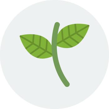 Shell Ginger Vector Icon