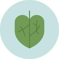 Colocasia Vector Icon