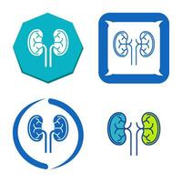 Kidney Vector Icon