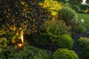 Garden Illuminated by LED Lighting System. photo