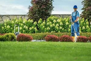 Garden Keeper Cleaning Residential Driveway Using Pressure Washer photo