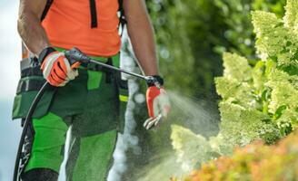 Insecticide and Fungicide on a Garden Plants photo