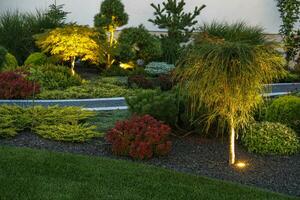 Garden Illuminated by Modern LED Lighting photo