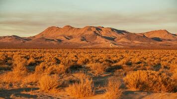 Scenic California Mojave Desert Sunset photo