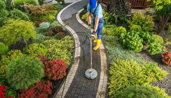 Back Yard Garden Pathways Washing Performed by Professional Worker photo