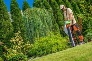 Professional Gardener with Electric Garden Vacuum photo