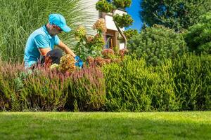 Garden Worker Performing Backyard Plants Maintenance photo