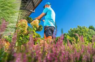 Backyard Garden Flowers Pruning Performed by Gardener Keeper photo