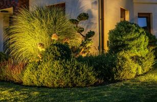 jardín plantas iluminado por al aire libre LED Encendiendo foto