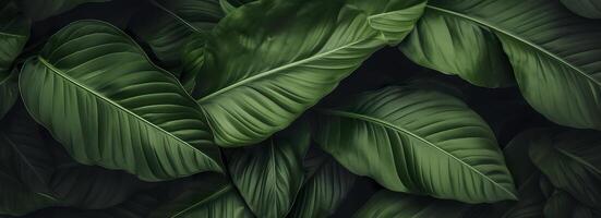 Abstract green leaf texture with nature background, tropical leaf. Generative AI photo