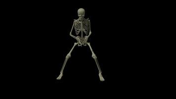 skelet dans achtergrond video
