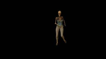 Skeleton Dance Animation video