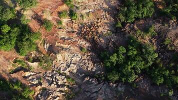 das Berg Boden war erodiert durch Wasser. tolle szenisch Aussicht von Rau kantig Berge erodiert durch Zeit entlang mit üppig Grün Bäume wachsend. video