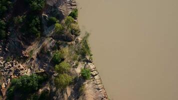 The mountain soil was eroded by water. Amazing scenic view of rough edged mountains eroded by time along with lush green trees growing near river. video