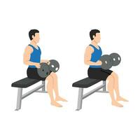 Man doing seated weight plate palm down wrist curls or forearm curls or weighted neutral wrist curl exercise. vector