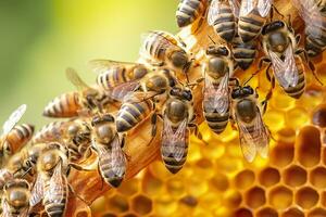 honey bees on honeycomb in apiary in summertime, Honey bees communicate with each other, AI Generative photo