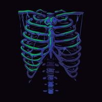 Spooky Ribcage green neon skeleton. halloween vector