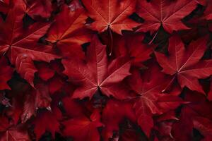 Wine red autumn leaves texture, fall nature background,  AI Generative photo