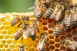 miel abejas en panal en colmenar en Hora de verano, miel abejas comunicar con cada otro, ai generativo foto