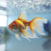 Beautifully colored goldfish swim in the clear aquarium water. 3d animation swimming goldfish.  AI Generative photo