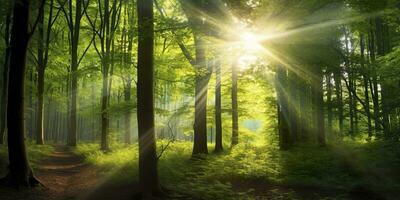 hermosa rayos de luz de sol en un verde bosque. generativo ai foto