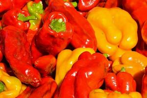 Red and yellow peper photo