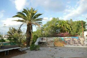 a graffiti covered wall and palm trees in the background photo