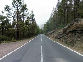 un largo vacío la carretera con arboles en ambos lados foto