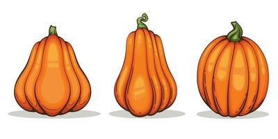 Pumpkins illustration isolated on white. Autumn Thanksgiving Pumpkins arrangement on white background. Colorful Pumpkins Realistic Illustration vector