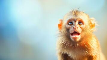 retrato de un linda patas rojas douc langur en naranja antecedentes. ai generativo foto