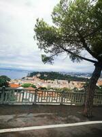 foto de un pacífico paisaje urbano visto desde un sombreado banco debajo un hermosa árbol