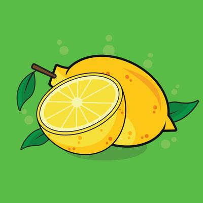 Lemon slice and  Lemon Set Vector Illustration