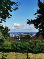 foto de un panorámico ver de un paisaje urbano desde un escénico cima de la colina