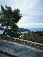 Photo of a serene landscape with a road winding alongside a picturesque body of water, framed by a majestic tree