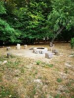 Photo of a cozy fire pit surrounded by a beautiful forest landscape